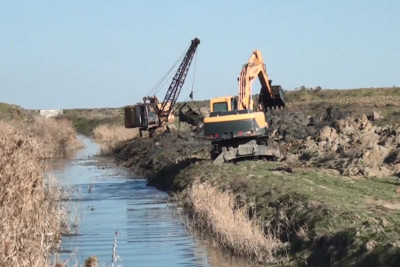 Cəlilabad rayonunda suvarma işləri uğurla davam edir