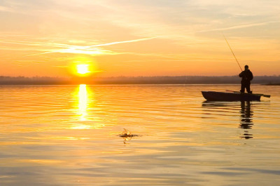 Masallı sakini Qızılağac Milli Parkı ərazisində qanunsuz ov edib