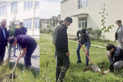 “Yaşıl məktəb” layihəsi əsasında Astarada ağacəkmə aksiyası keçirilib