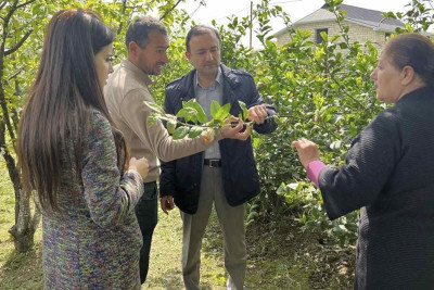 Təlim mərkəzi sitrus bağında təlim keçib