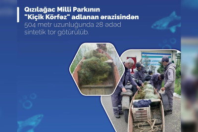 Qızılağac Milli Parkında sintetik torlar tapılıb