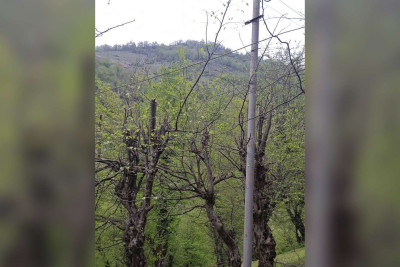 Astaranın Lomin kəndində qəzalı dirəklər yenilənib