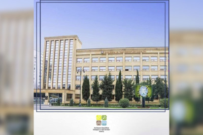 Masallıda qanunsuz ağac kəsiminin qarşısı alınıb