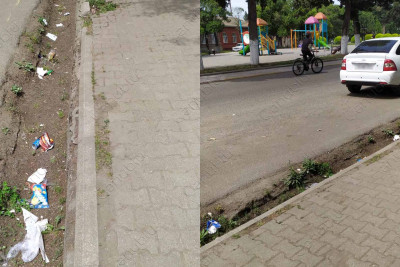 Lənkəranda zibil qutularının az olmasının fəsadları