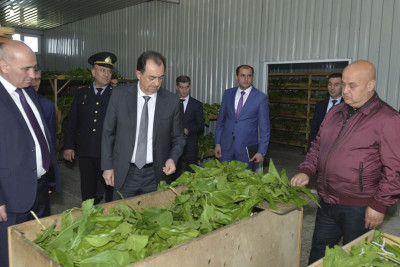 Taleh Qaraşov rayonda barama istehsalı ilə məşğul olan kümxanada olub
