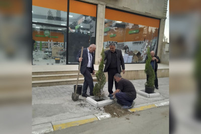 Cəlilabadda ağacların qanunsuz kəsilməsi faktı araşdırılıb