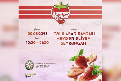 Cəlilabadda çiyələk festivalı keçiriləcək