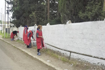 Masallıda iməcilik: Boradigah qəsəbəsi və Sərçuvar kəndində işlər görülüb