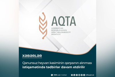 Qida Təhlükəsizliyi Agentliyi Masallıda obyekt cərimələyib