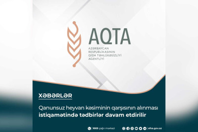 Masallıda 3 sahibkar cərimələnib