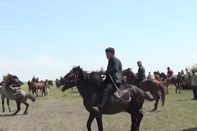 Masallıda atçılıq yarışları keçirilib