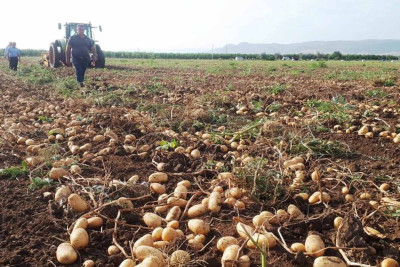 Cəlilabadlı fermerlərlə görüş baş tutub