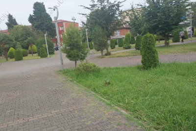 Əsgər Əliyev adına parkda istirahət üçün lazımi şərait yoxdur