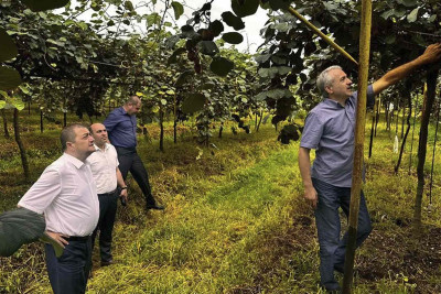 Qəzənfər Ağayev Şahağac kəndi ərazisində yerləşən kivi bağı ilə tanış olub