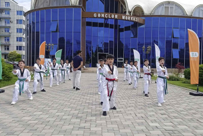 Lənkəranda taekvondo üzrə idman tədbiri baş tutub