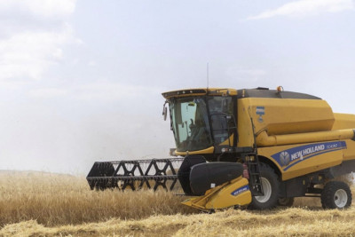 Masallıda taxıl yığımı davam edir