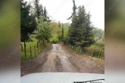 Astarada şəhidin evinə gedən yol pis vəziyyətdədir