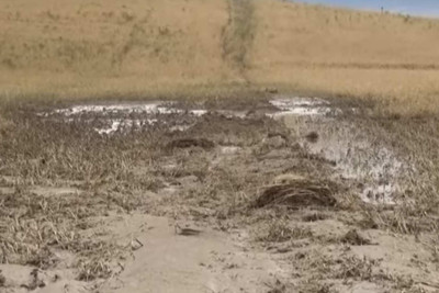 Cəlilabadda min hektara yaxın əkin sahəsi yararsız hala düşüb