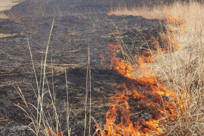 Cəlilabadda qəzalı dirəyin aşması nəticəsində yanğın baş verib