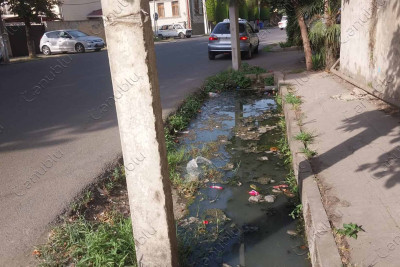 Lənkəran şəhərinin Füzuli küçəsini üfunət bürüyüb