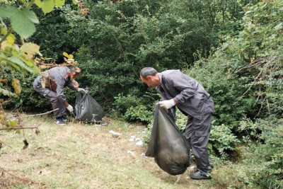 Lənkəran: meşə ərazisində iməcilik aparılıb