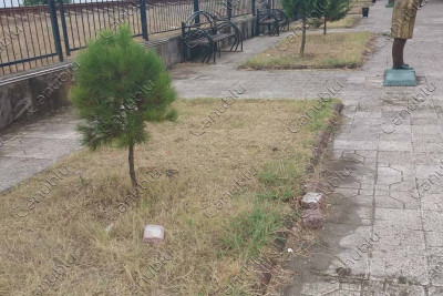 Lənkəranda yerləşən Sahil parkı baxımsız vəziyyətdədir