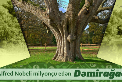 Alfred Nobeli milyonçu edən Dəmirağac