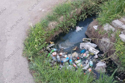 Lənkəranın Nizami küçəsinin xəndəklərini ot basıb