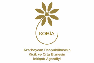 Lənkəranda sahibkarlar üçün təlimlər keçiriləcək