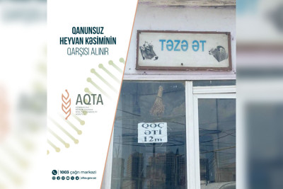 Masallıda 5 heyvan kəsimi məntəqəsinin sahibləri cəzalandırılıblar