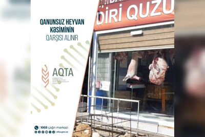 AQTA qanunsuz heyvan kəsimi və ət satışı məntəqələrini cərimələyib