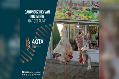 Masallıda qanunsuz heyvan kəsimi aşkar olunub
