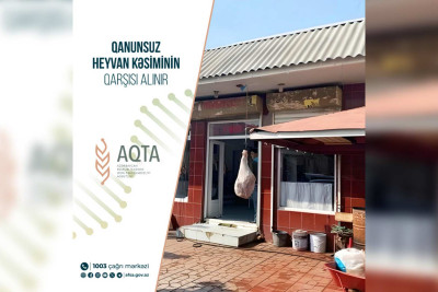 Lənkəran və Masallıda qanunsuz heyvan kəsiminin qarşısı alınıb