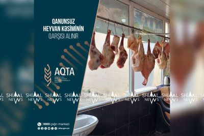 Masallıda bir sıra məntəqələrdə qanunsuz heyvan kəsiminin qarşısı alınıb