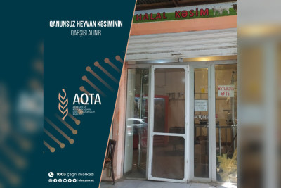 Masallıda daha bir heyvan kəsimi məntəqəsində nöqsanlar aşkarlanıb