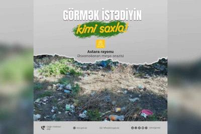 Ekologiya və Təbii Sərvətlər Nazirliyi meşə ərazisini zibilləyənlərə müraciət edib