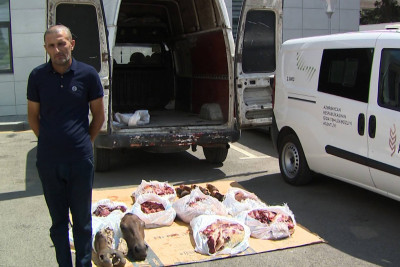 Cəlilabad sakini xəstə at ətini mal əti adı ilə satdığına görə saxlanılıb