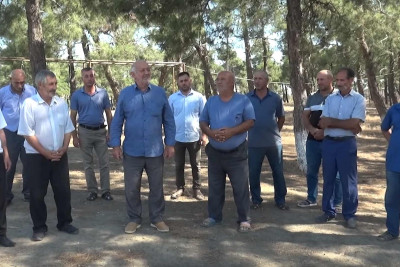 Cəlilabad: bu kənddə qaz ola-ola sakinlər odun yandırırlar