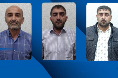 Lənkəranda küçə itləri çoxalıb