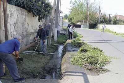 Lənkəranda rayonmiqyaslı iməcilik işləri aparılır