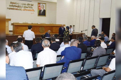 Araz Əhmədovun Masallıda vətəndaş qəbulu baş tutub