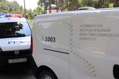 Masallıda qanunsuz heyvan kəsiminin qarşısı alınır