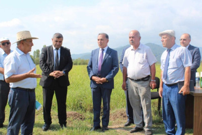 Lənkəranda “Çəltiyin seleksiyası və toxumçuluğunun təşkili” adlı tarla seminarı keçirilib