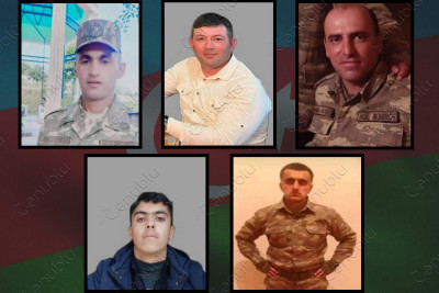 Şəhidin var, Lənkəran!
