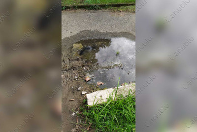 Lənkəran şəhər 17 saylı uşaq bağçasının həyətindəki kanalizasiya dolub-daşır