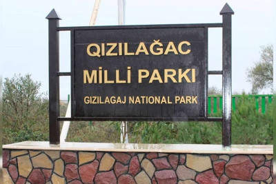 Xidmət rəisi Qızılağac Milli Parkındakı vəziyyətdən danışıb