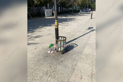 Lənkəranda mərkəzi küçələrə qoyulan zibil qutuları