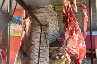 AQTA Lənkəranda yerləşən obyektlərdə nöqsanlar aşkar edib