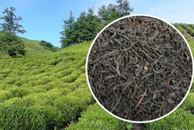 Lənkəranda kiloqramı 2400 manata olan çay satılır