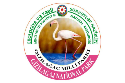Qızılağac Milli Parkında Flaminqo festivalı keçiriləcək